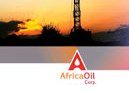 This image has an empty alt attribute; its file name is africa-oil.jpg